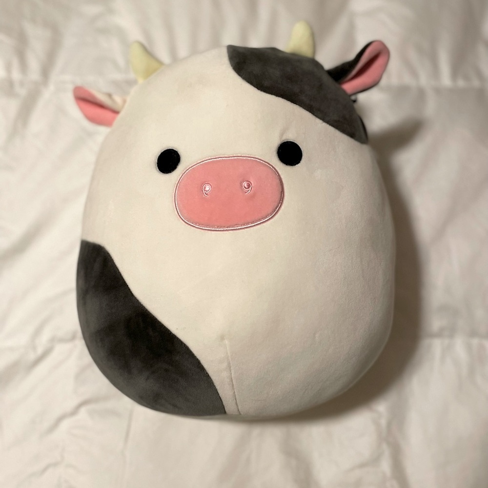 NWT 12” Connor the Cow Squishmallow